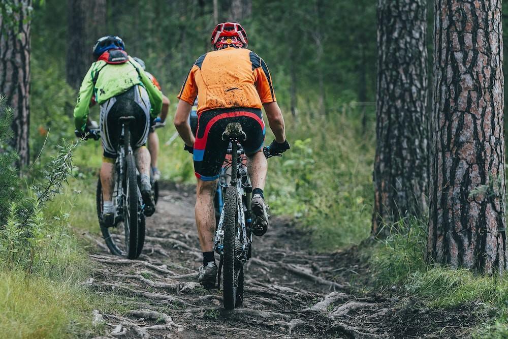 Hotell Hallstaberget Sollefteå エクステリア 写真